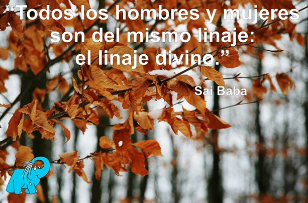 Una Enseñanza de Sai Baba en la Frase del Día del Elefante Azul de Avilés